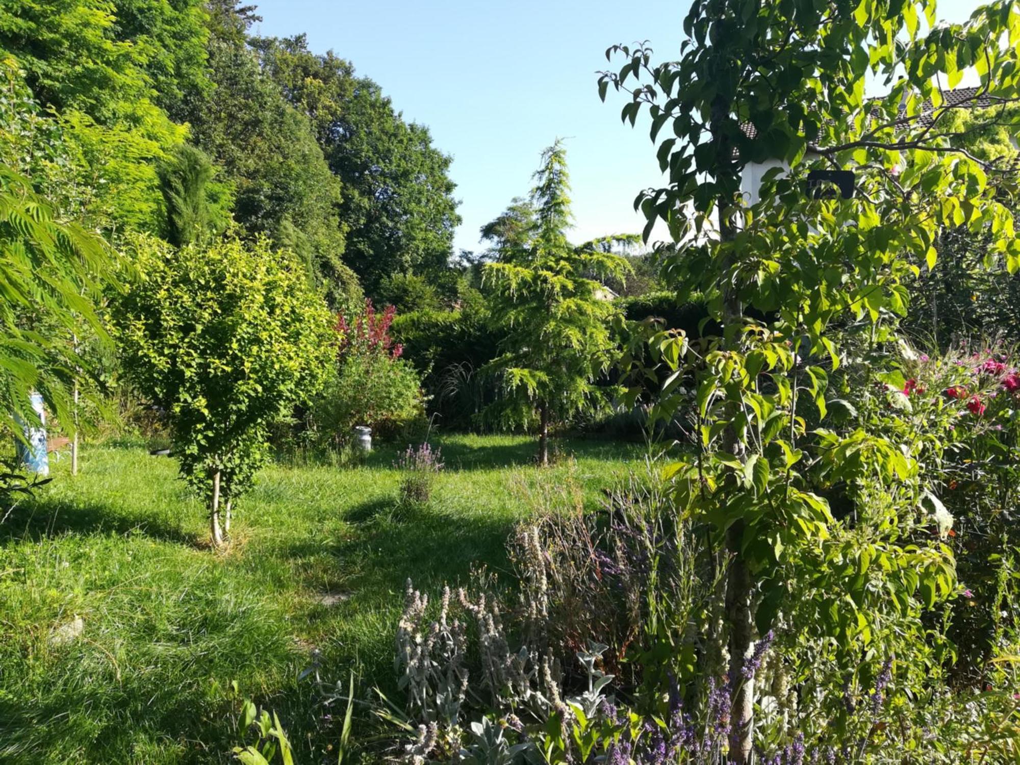 Apiculteur Loue 2 Chambres Dans Cadre Verdoyant Pagny-sur-Meuse Bagian luar foto